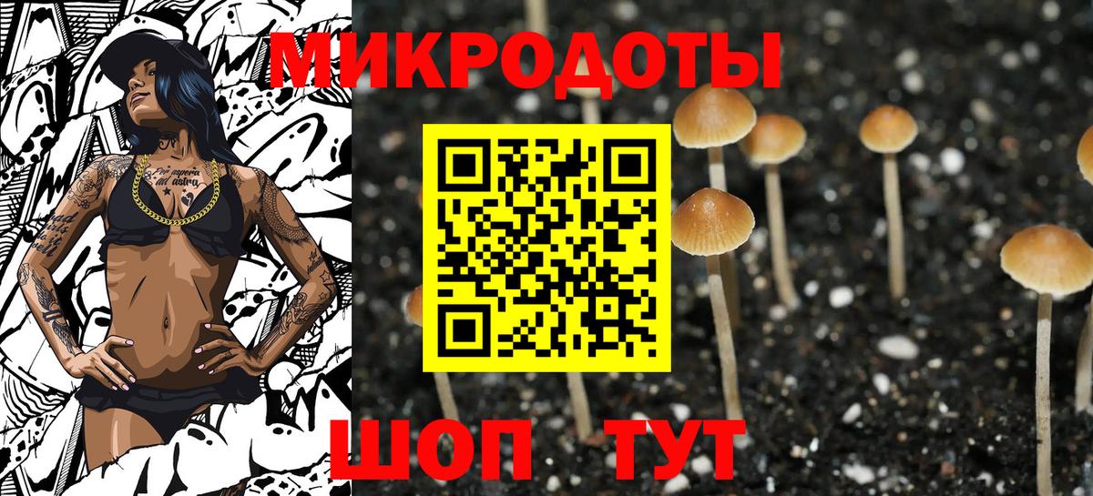 Галлюциногенные грибы Magic Shrooms Камышин